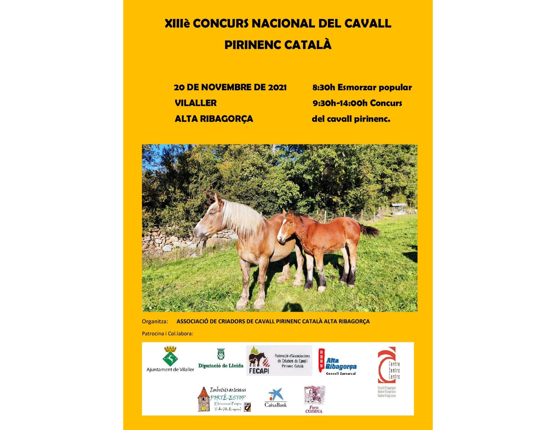 El CERib us convida al XIIIè Concurs Nacional del Cavall Pirinenc Català